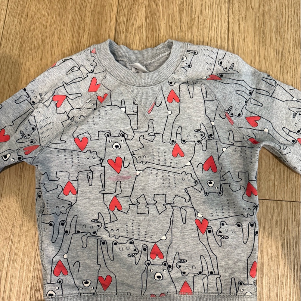 Hanna Andersson Gray and Red Graphic Hoodie